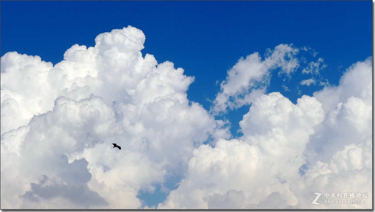 今日郑州——帝湖风光