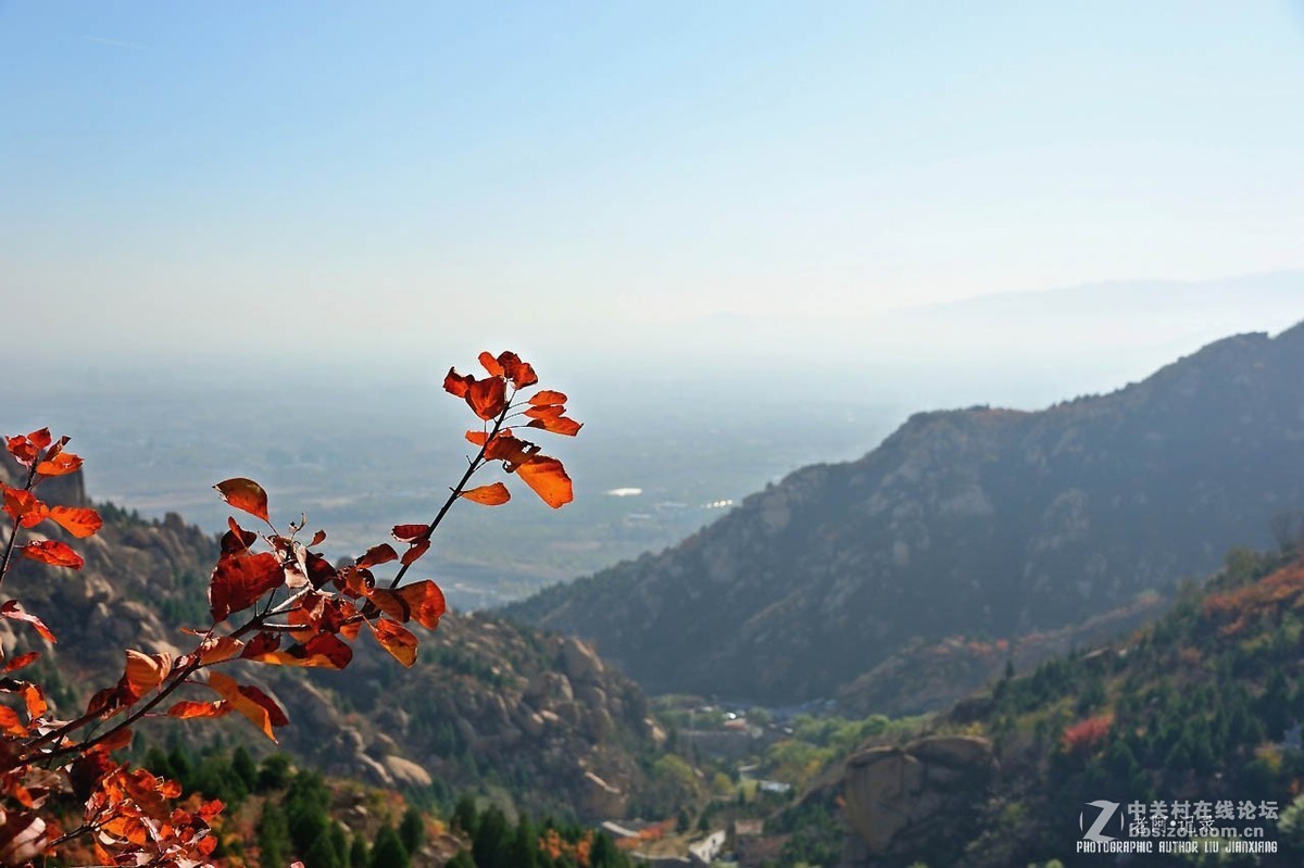 百望凤凰红叶情——请假帖