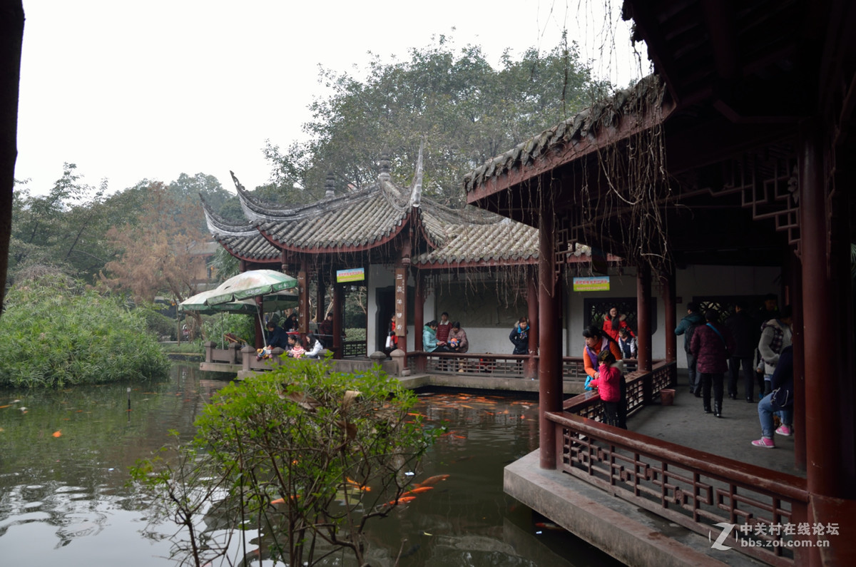 宽窄巷子成都书院少城公园扫