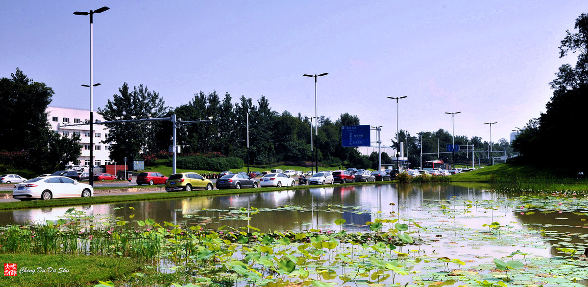 夏日湿地一瞥【3】