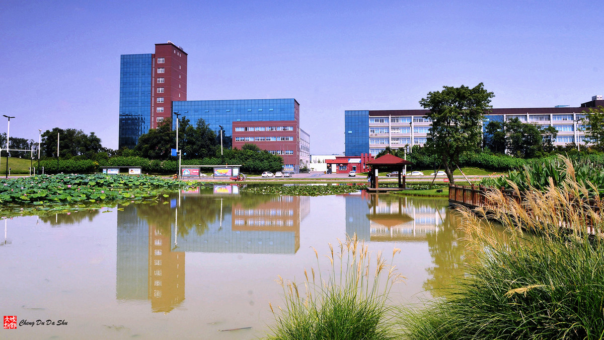 夏日湿地一瞥【3】