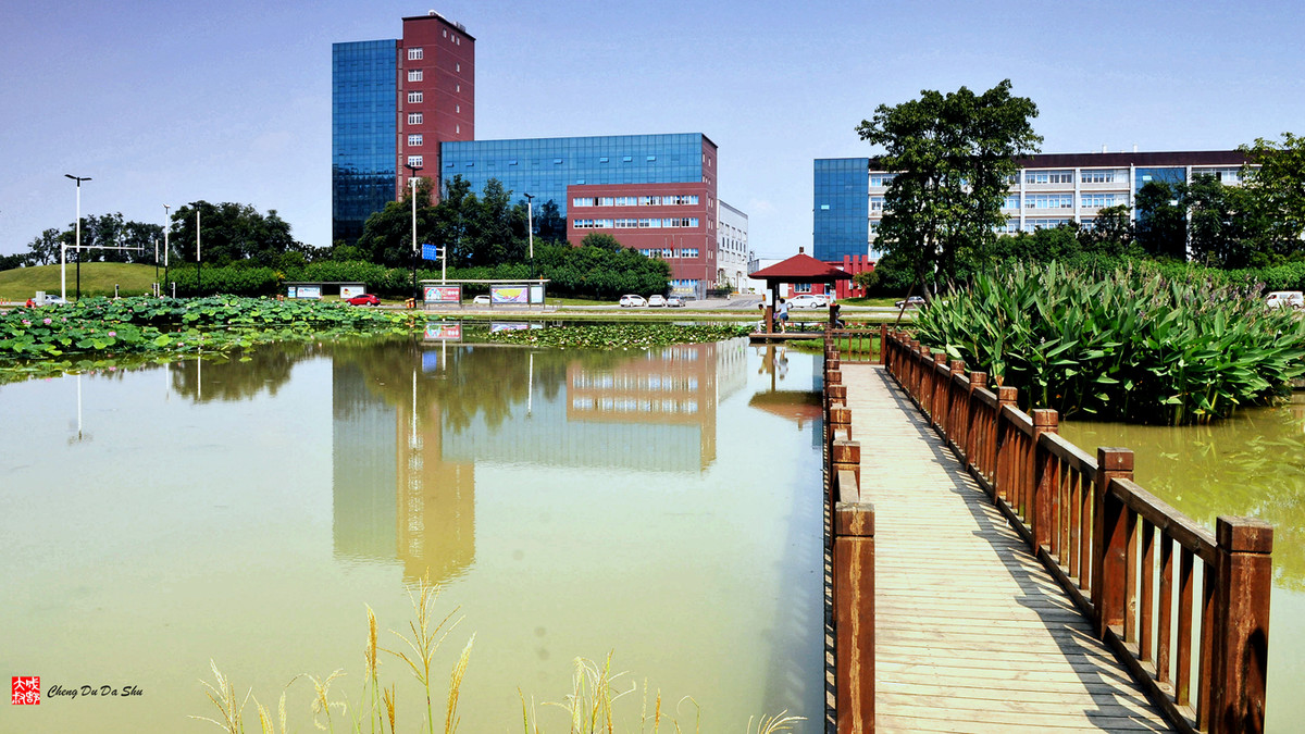 夏日湿地一瞥【3】