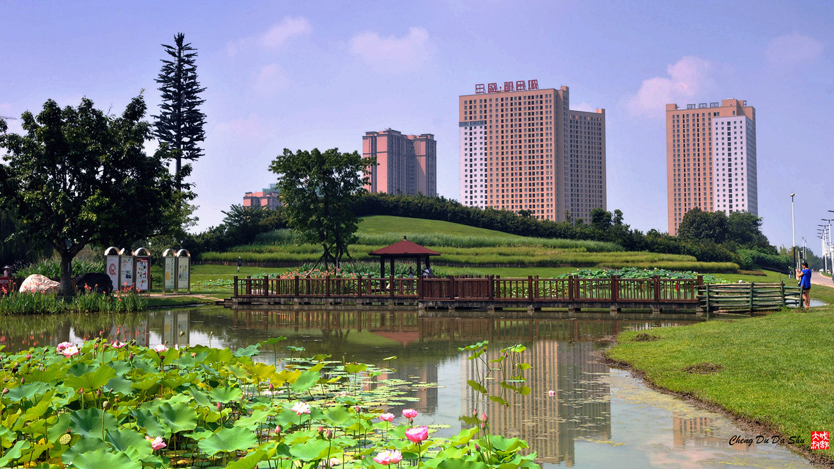 夏日湿地一瞥【3】