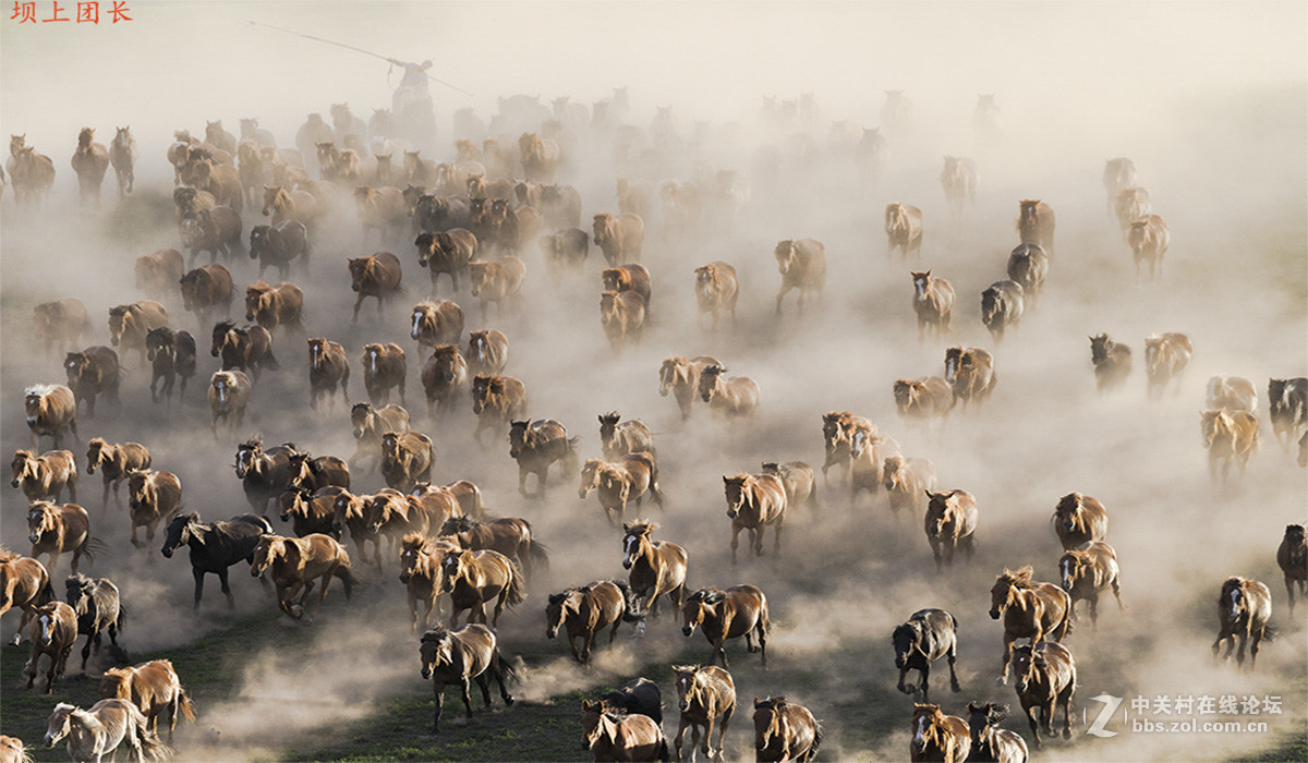 坝上摄影 千军万马在坝上