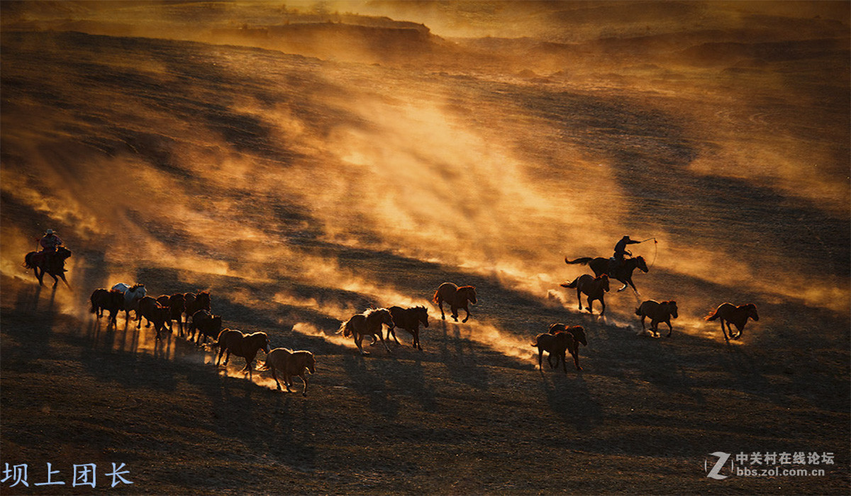 坝上摄影 千军万马在坝上