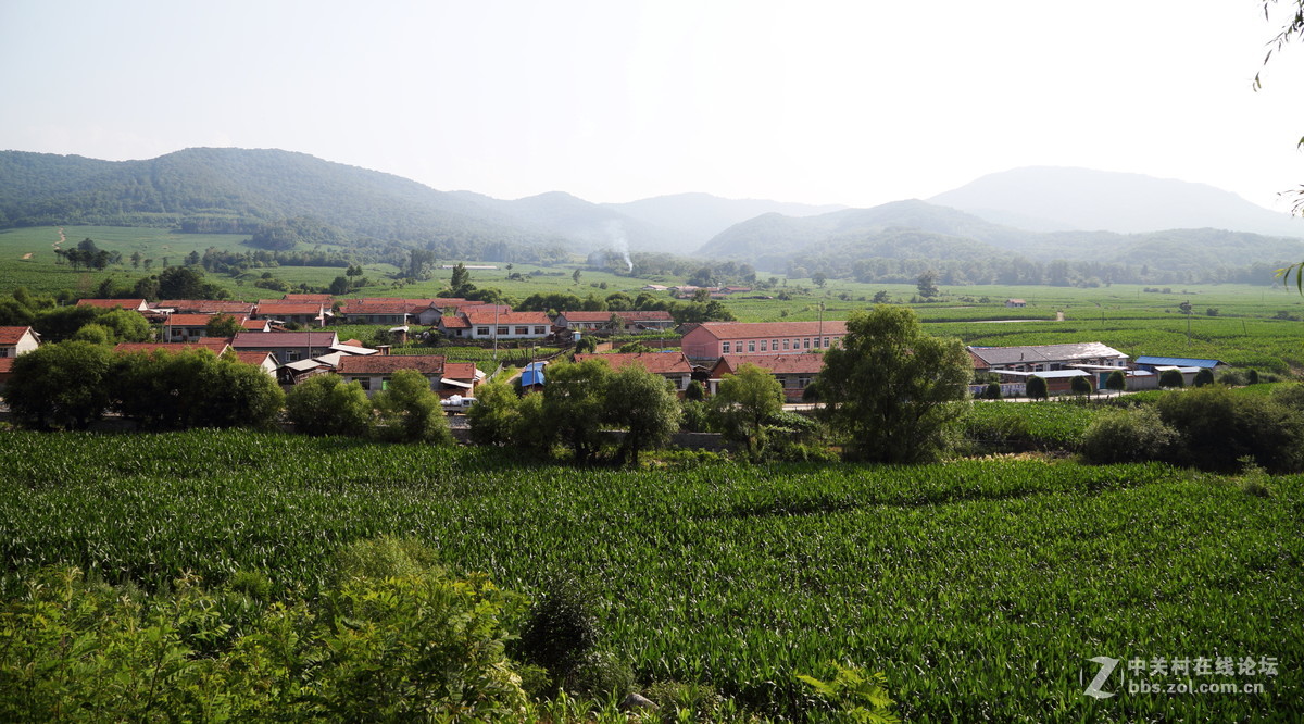 美丽静谧的东北农村