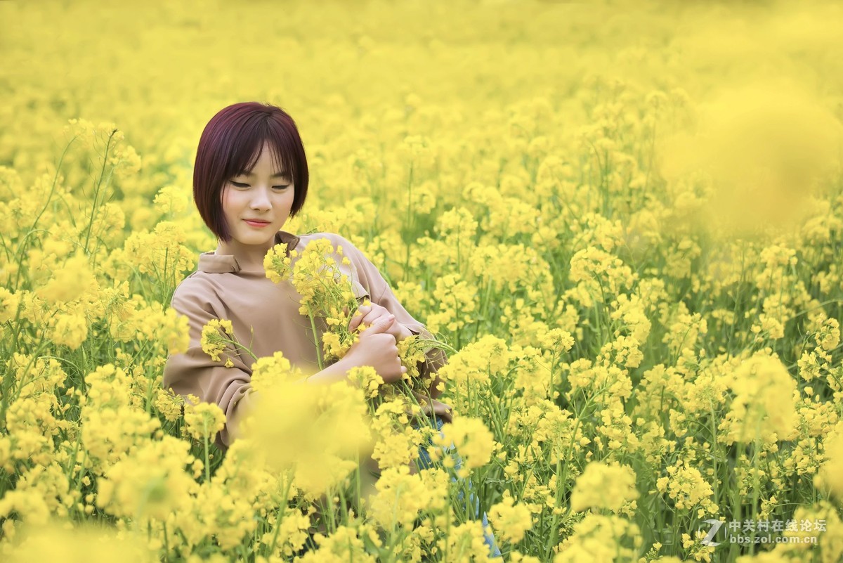 什么面包会飞