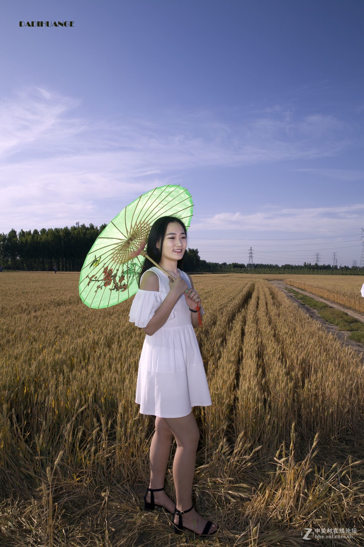 麦子熟了拍一组麦田美女