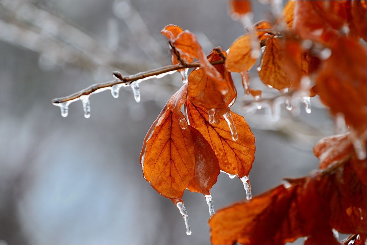 休闲随拍（382）