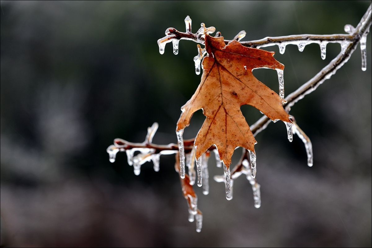 休闲随拍（382）