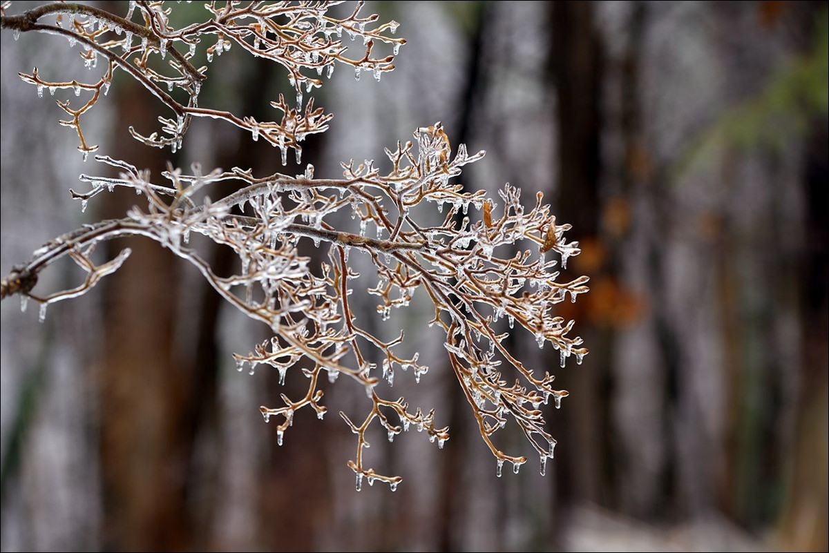 休闲随拍（382）