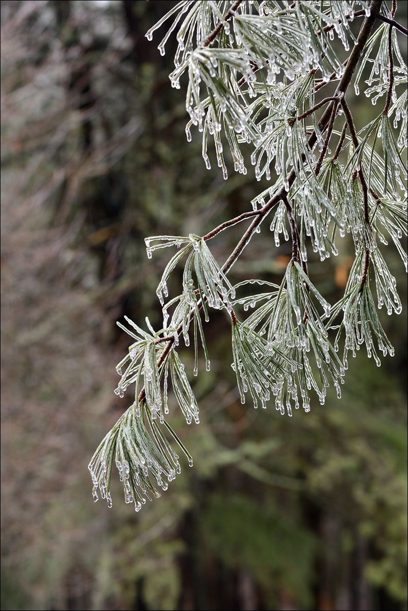 休闲随拍（382）