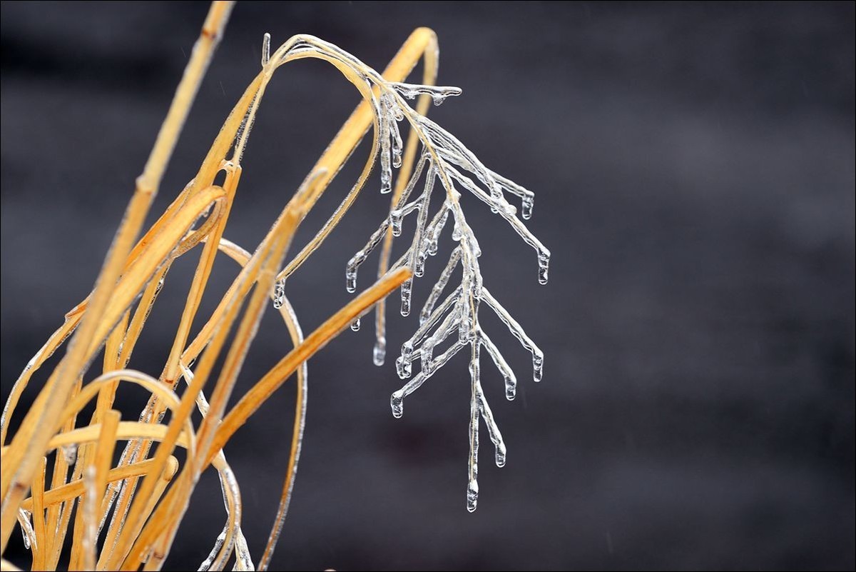 休闲随拍（382）