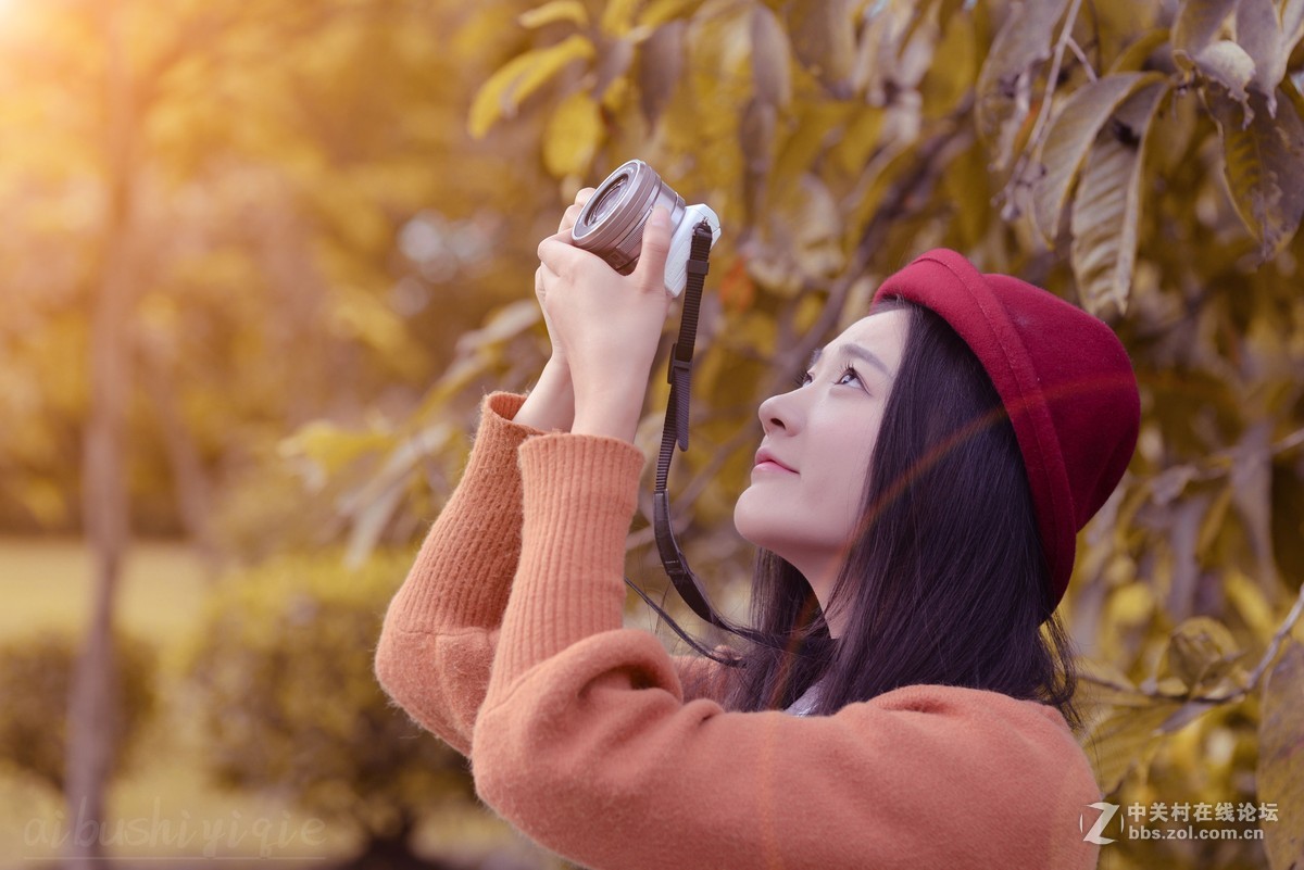 #ZOL月赛-记录最后的2015#               【再见小白】