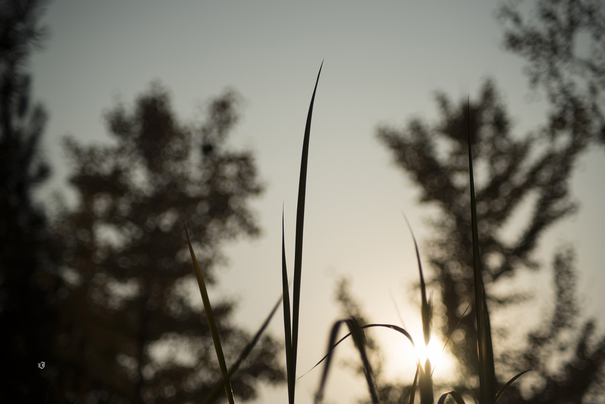 #ZOL月赛-记录最后的2015#  秋冬的北京