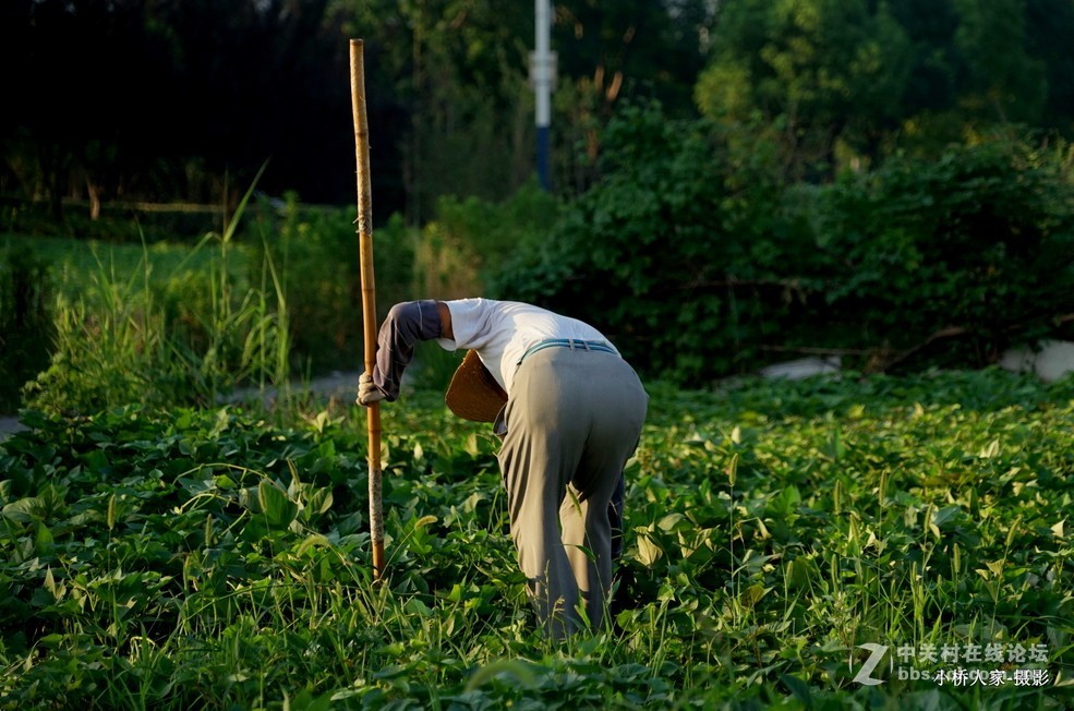 锄禾日当午，汗滴禾下土。 谁知盘中餐，粒粒皆辛苦。