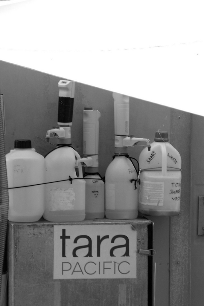 随拍塔拉号双桅帆船 ------ 3