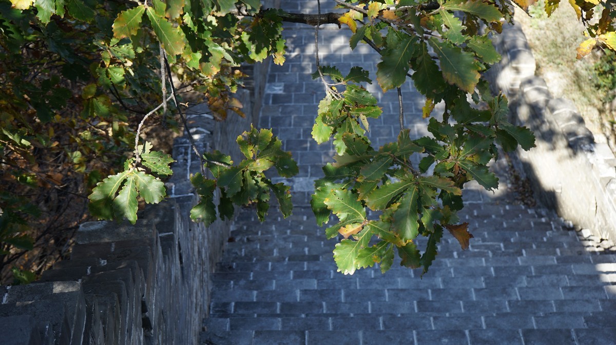 箭扣长城（重发）