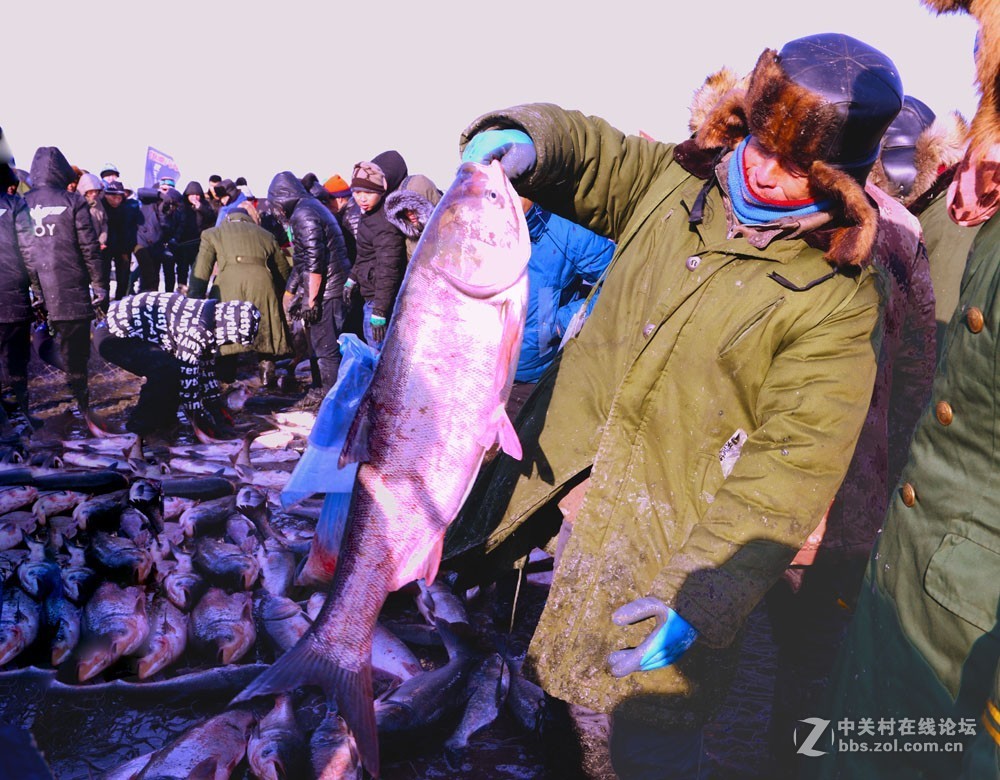 玉皇庙水库鱼出鱼喽！