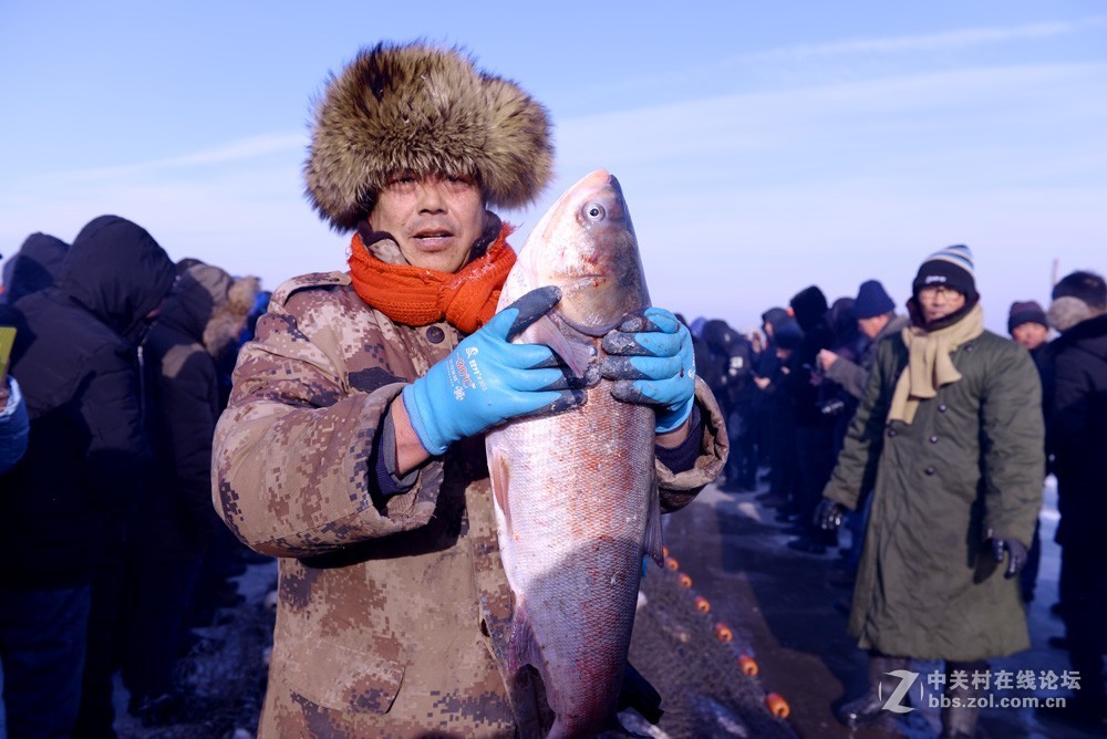 玉皇庙水库鱼出鱼喽！
