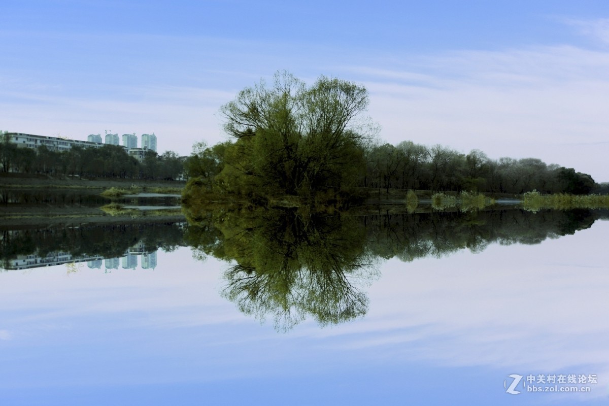 初试（首次发帖）杂拍