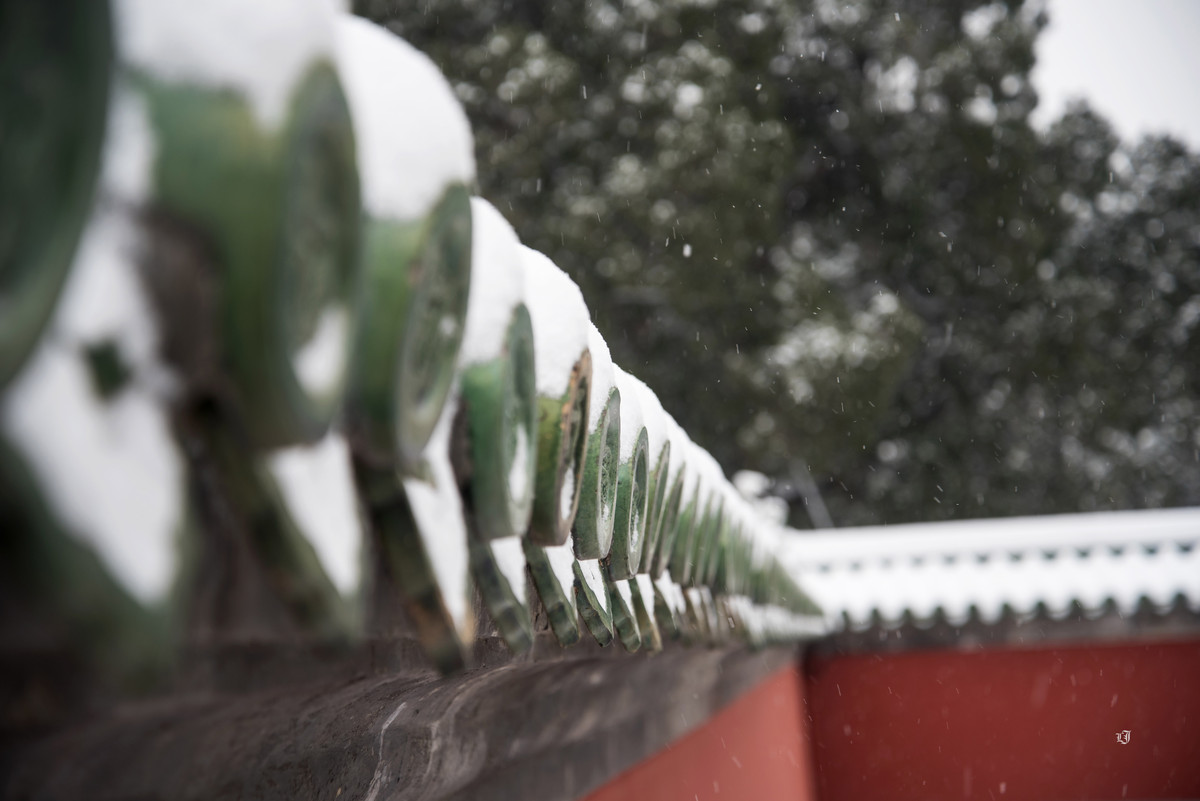 #ZOL月赛-记录最后的2015#  秋冬的北京