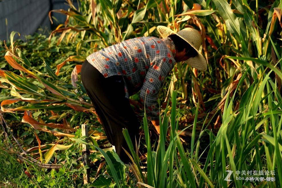 锄禾日当午，汗滴禾下土。 谁知盘中餐，粒粒皆辛苦。
