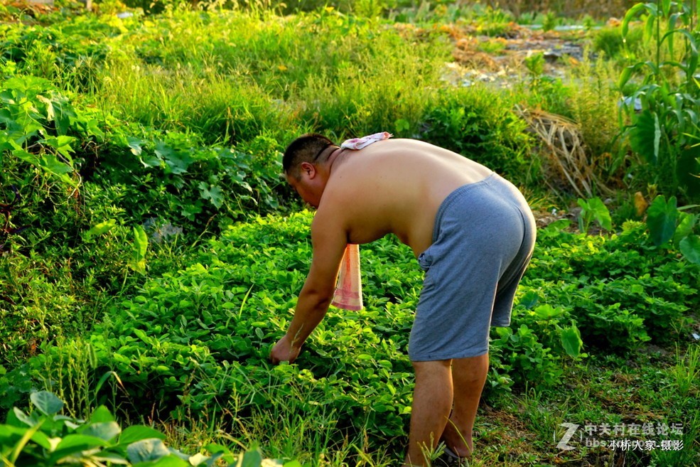 锄禾日当午，汗滴禾下土。 谁知盘中餐，粒粒皆辛苦。