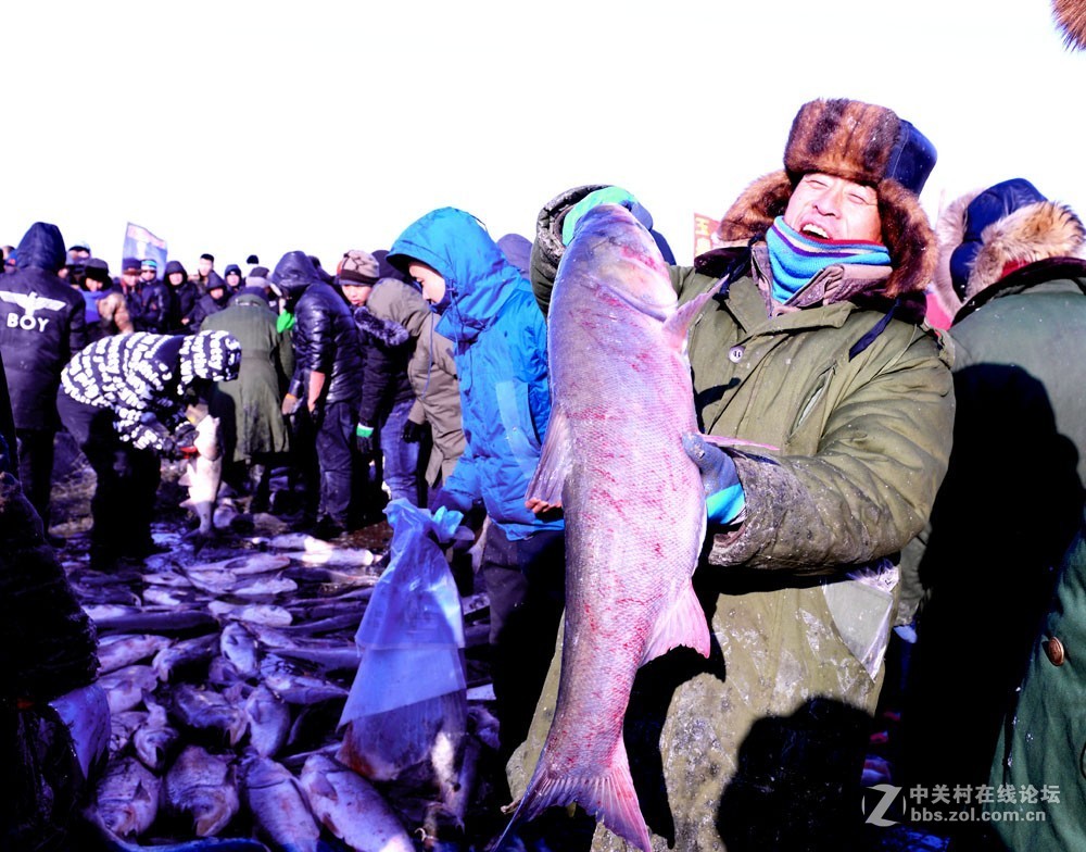 玉皇庙水库鱼出鱼喽！