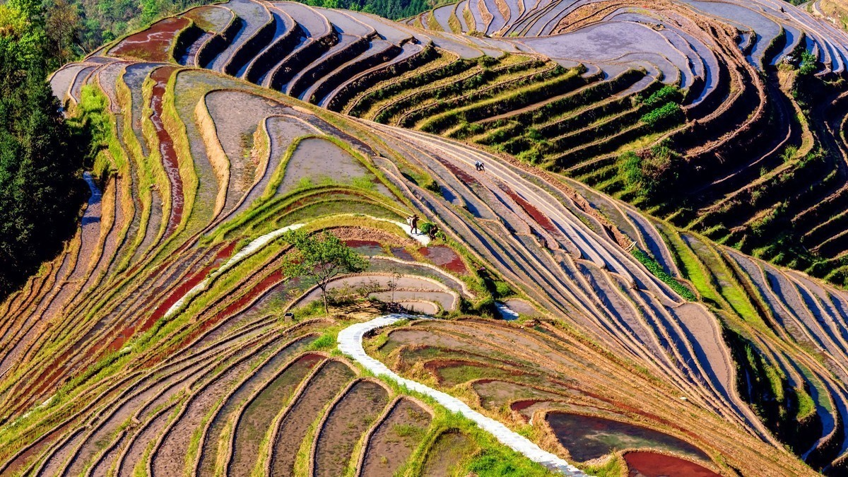 28——300拍风光