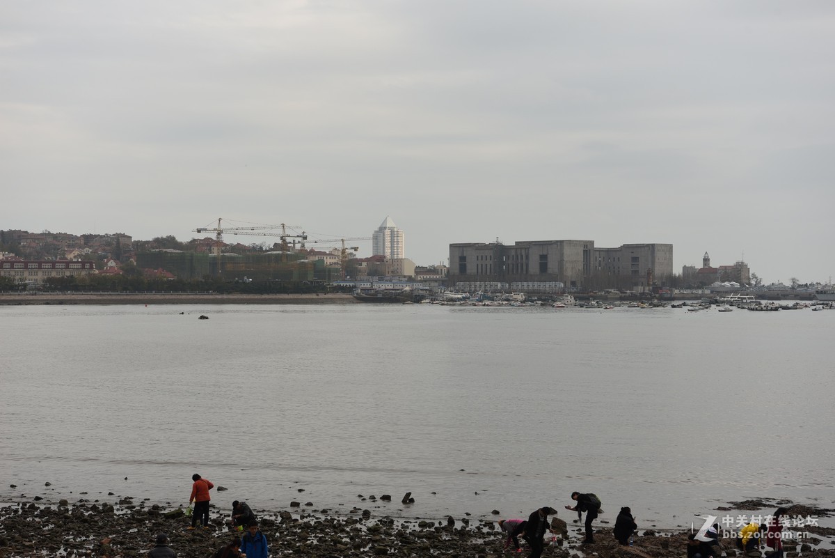 到手几天了，菜鸟不会拍，胡乱拍了几张