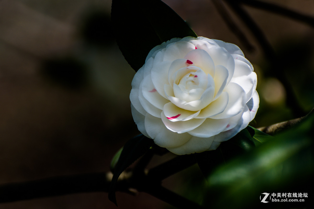 #版主坐堂#小五星空(中国)2016年3月精品荟萃