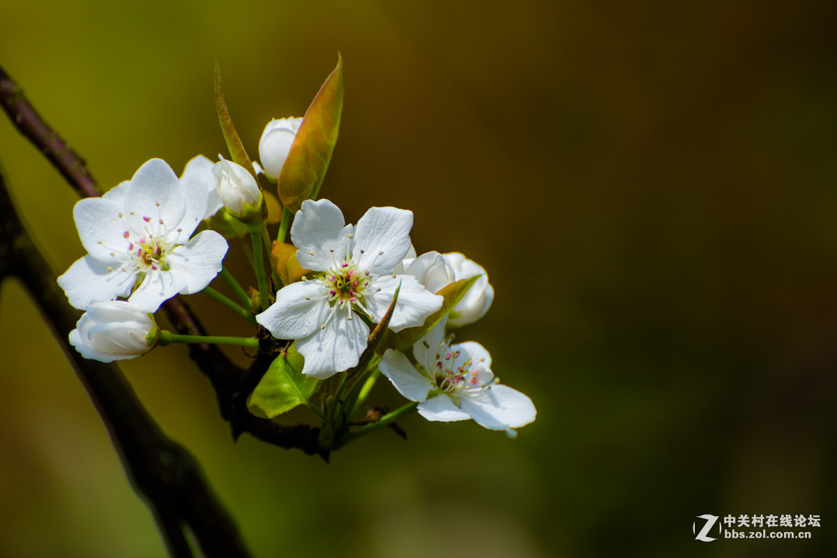 #版主坐堂#小五星空(中国)2016年3月精品荟萃