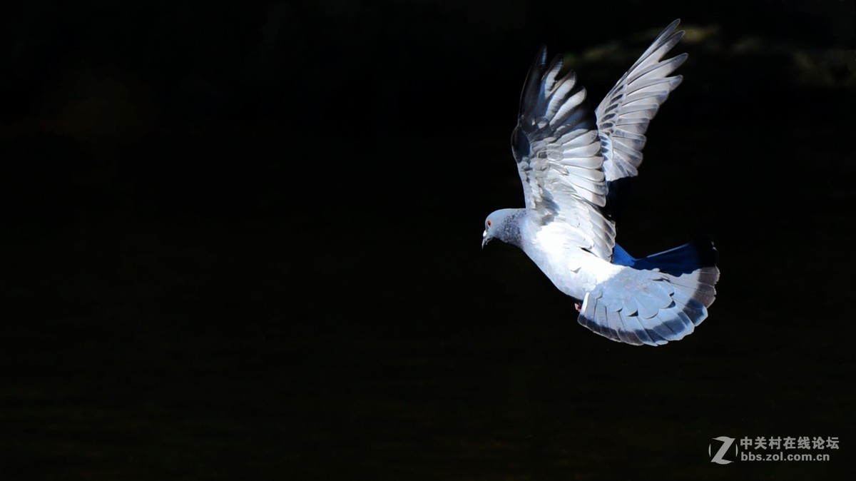 #版主坐堂#小五星空(中国)2016年3月精品荟萃