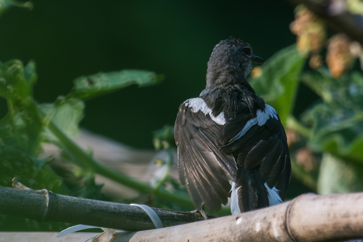 我的背影美不美！！