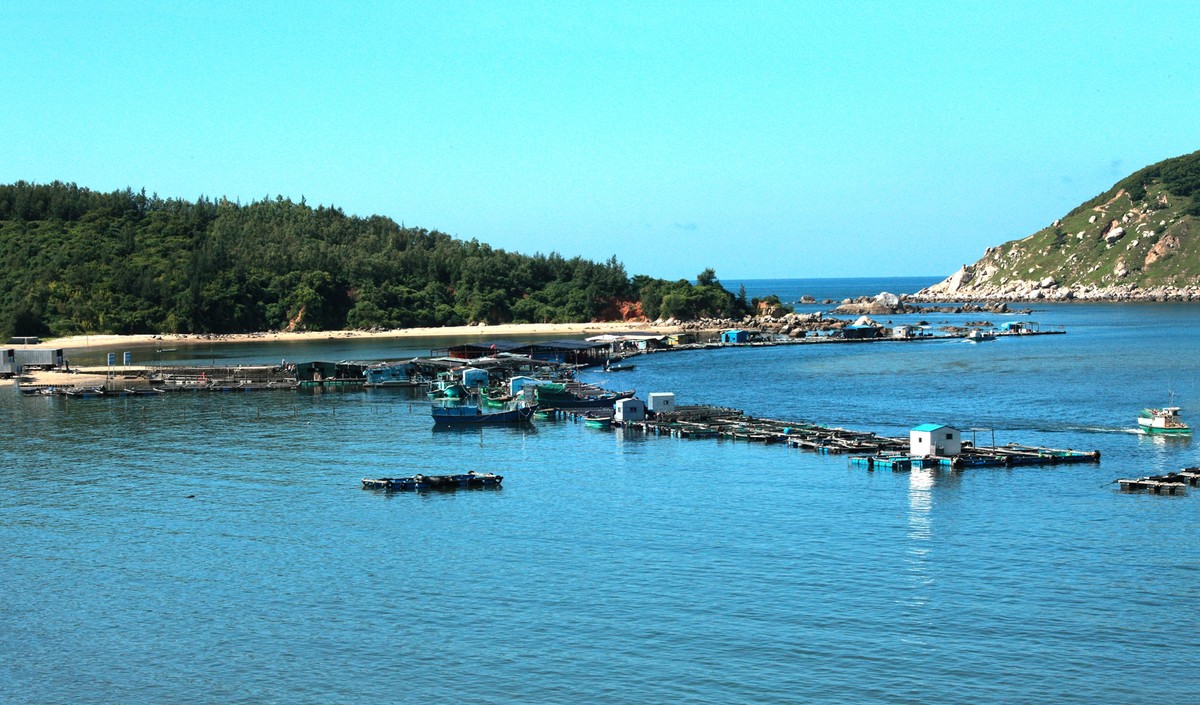 阳西蓝袍湾风光