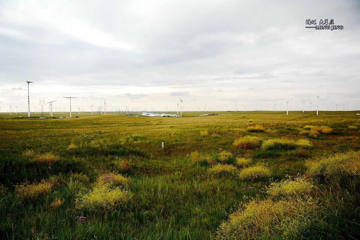 乌云密布你能阻止我们吗 —— 锡林郭勒大草原。（一）