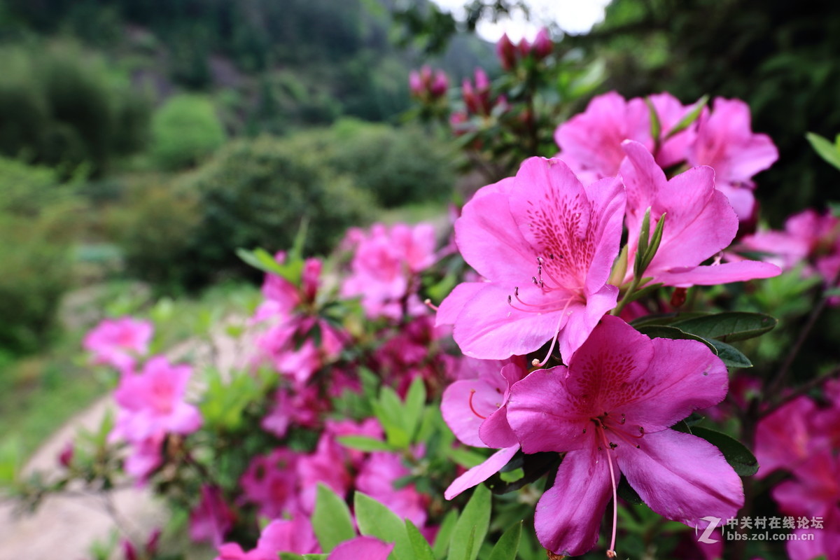 响石山景区游拍
