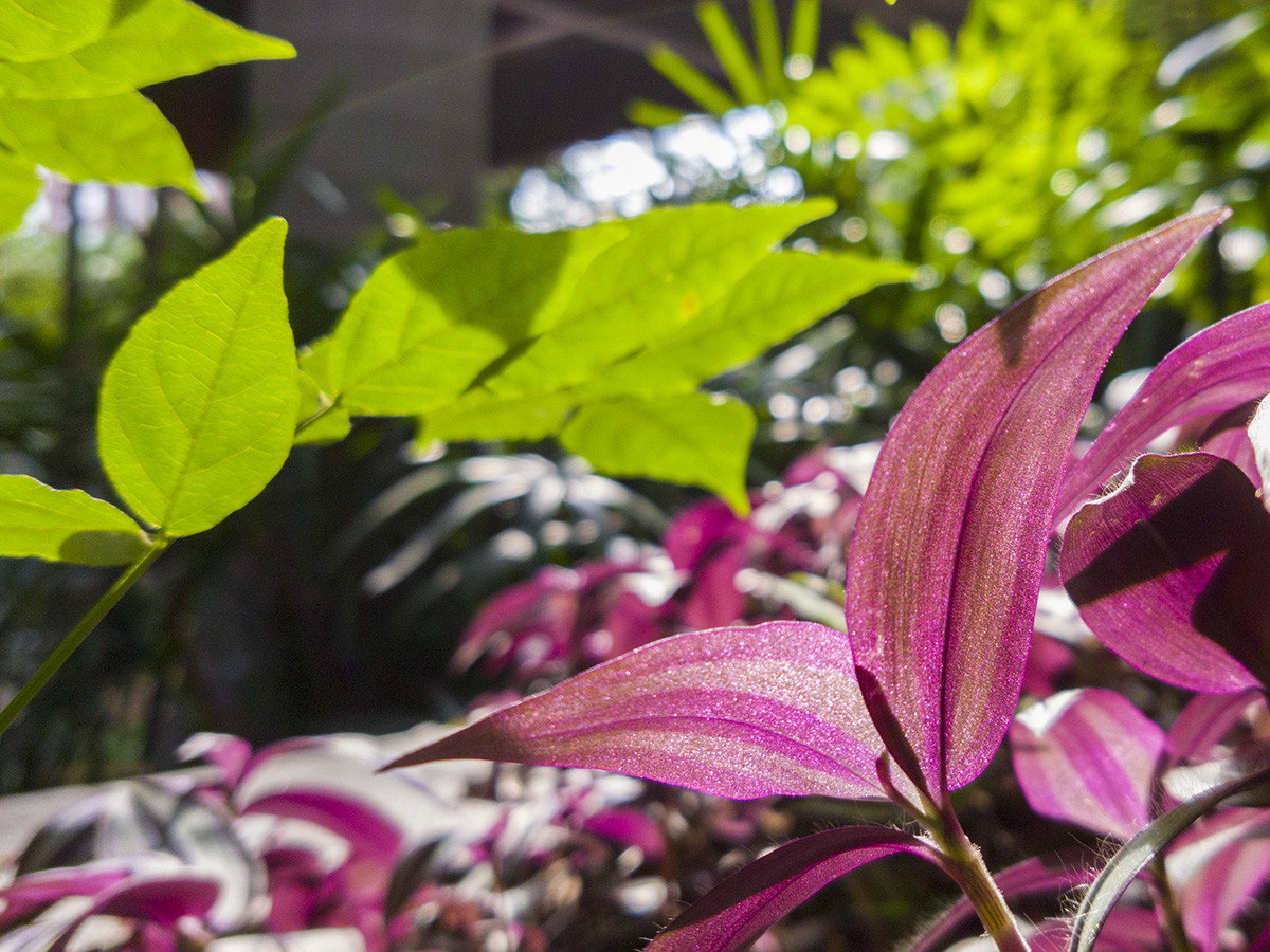祝贺友利好友荣任东莞版主