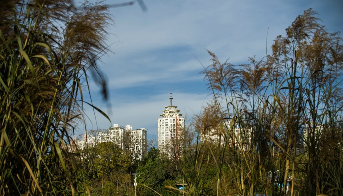 越来越喜欢这只镜头 (DA55-300WR PLM)不是它素质有多好。主要是价钱低