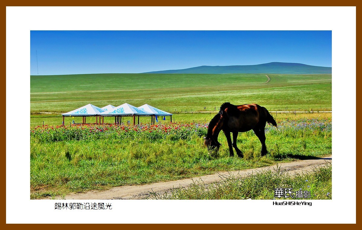 感受蒙古风——锡林郭勒沿途风光（内蒙锡林郭勒盟）