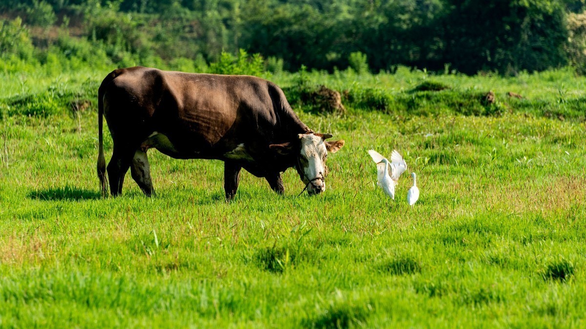 28——300拍风光
