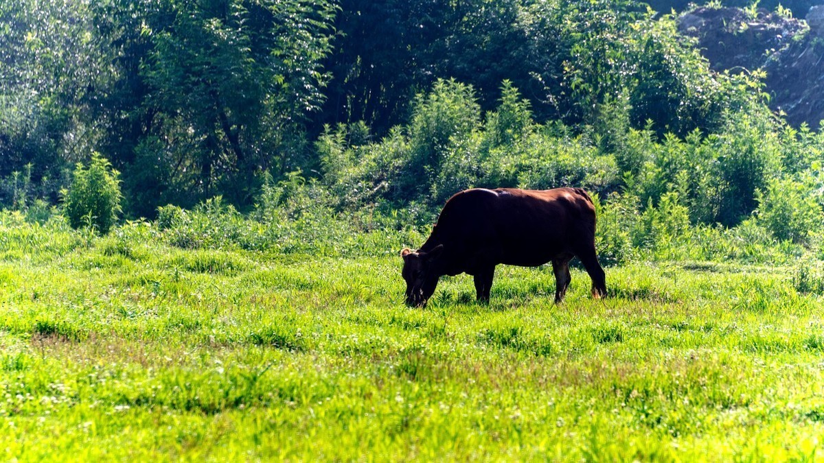 28——300拍风光