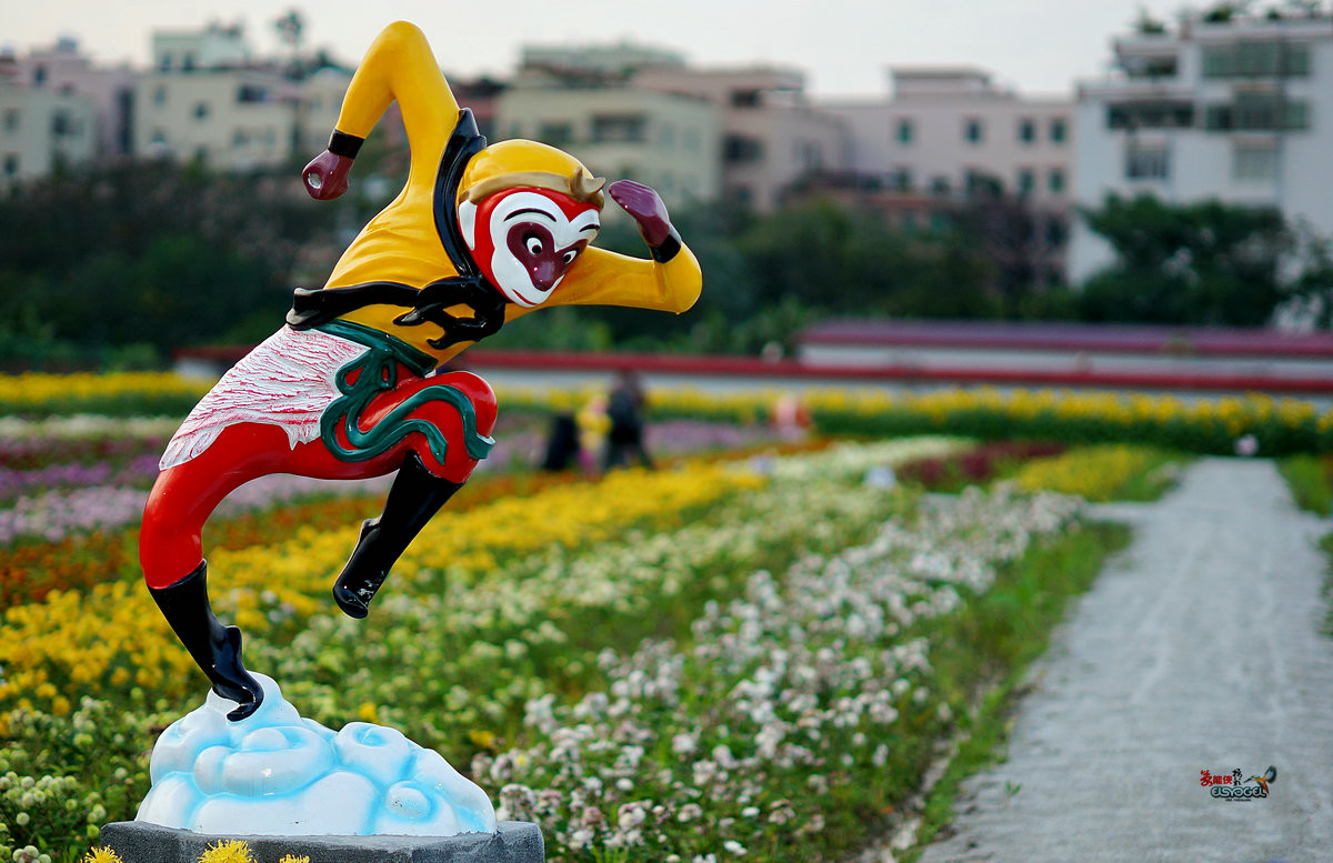 随拍【广州银马四季乐园2016广州(白云)创意菊花节】菊花海洋