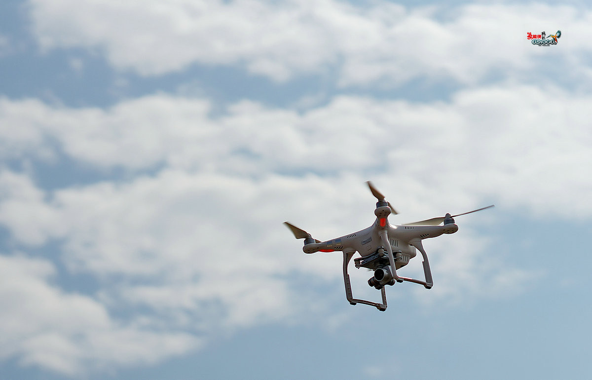 随拍【广州银马四季乐园2016广州(白云)创意菊花节】菊花海洋