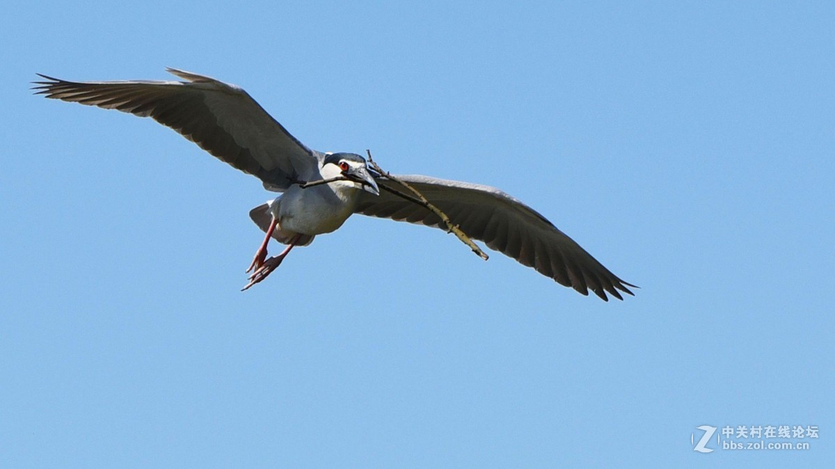 #版主坐堂#小五星空(中国)2016年3月精品荟萃