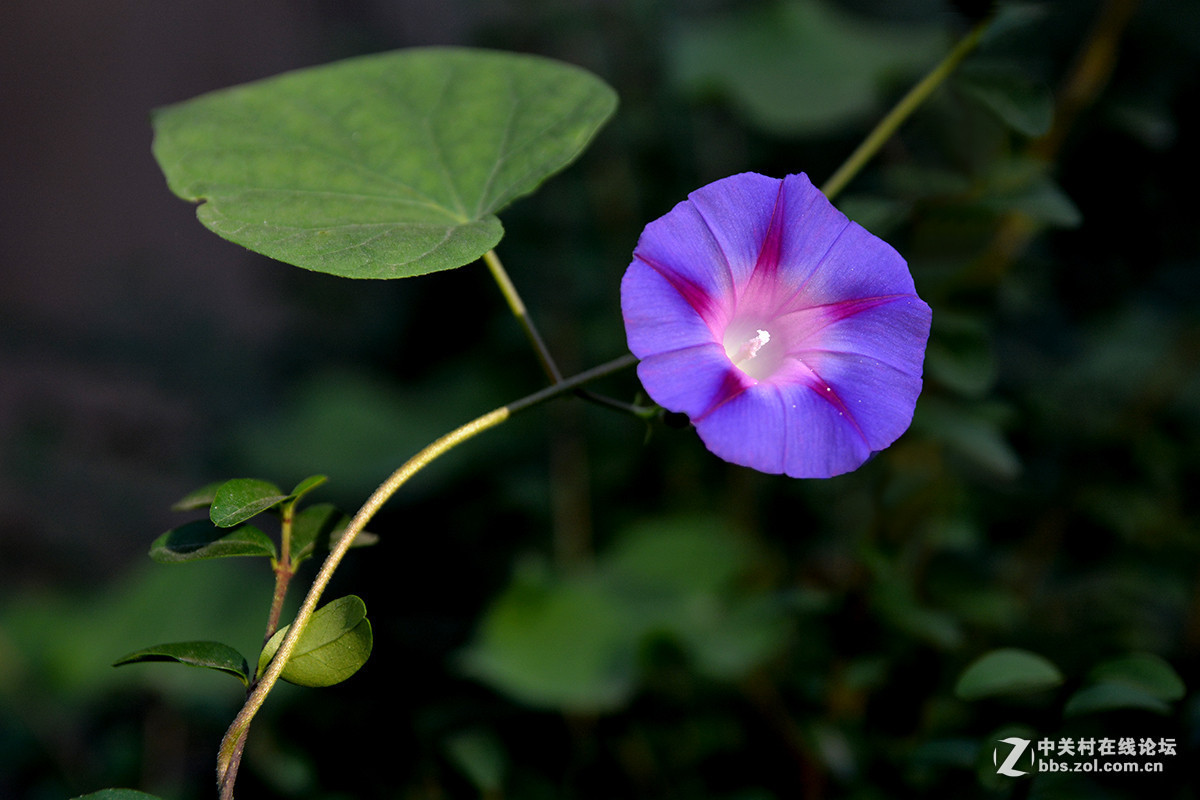 #版主坐堂#小五星空(中国)2016年3月精品荟萃