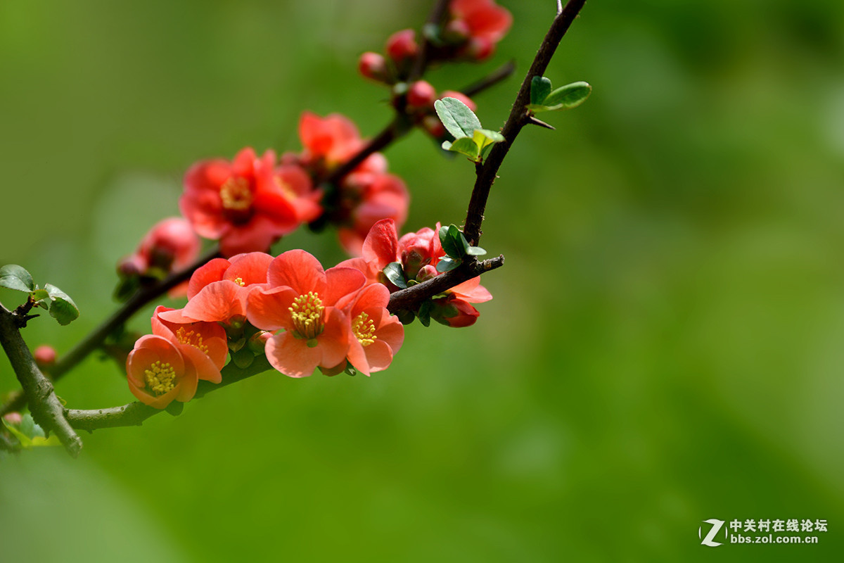 #版主坐堂#小五星空(中国)2016年3月精品荟萃