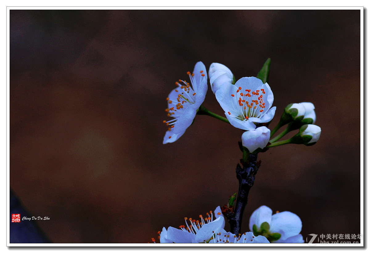 #版主坐堂#小五星空(中国)2016年3月精品荟萃