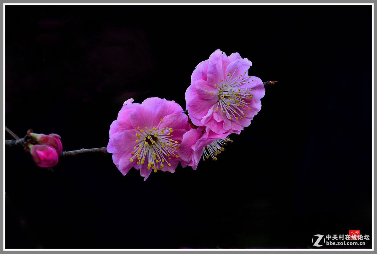 #版主坐堂#小五星空(中国)2016年3月精品荟萃